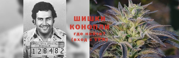 шишки Куйбышев