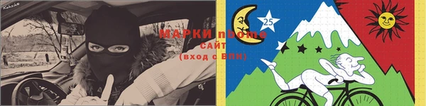 шишки Куйбышев