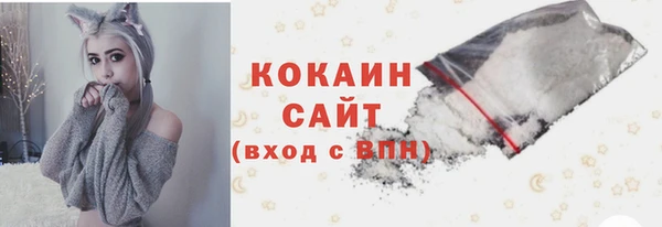 шишки Куйбышев