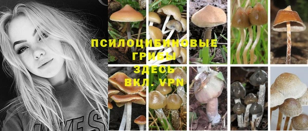 МДПВ Кулебаки