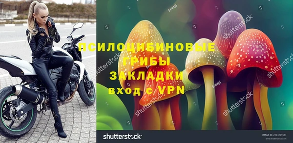 МДПВ Кулебаки