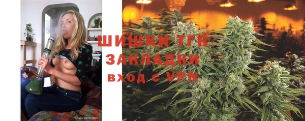 гашик Грязи
