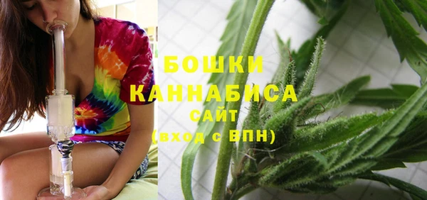 шишки Куйбышев