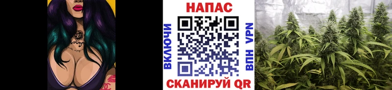 Бошки марихуана SATIVA & INDICA  цены   Лабытнанги 